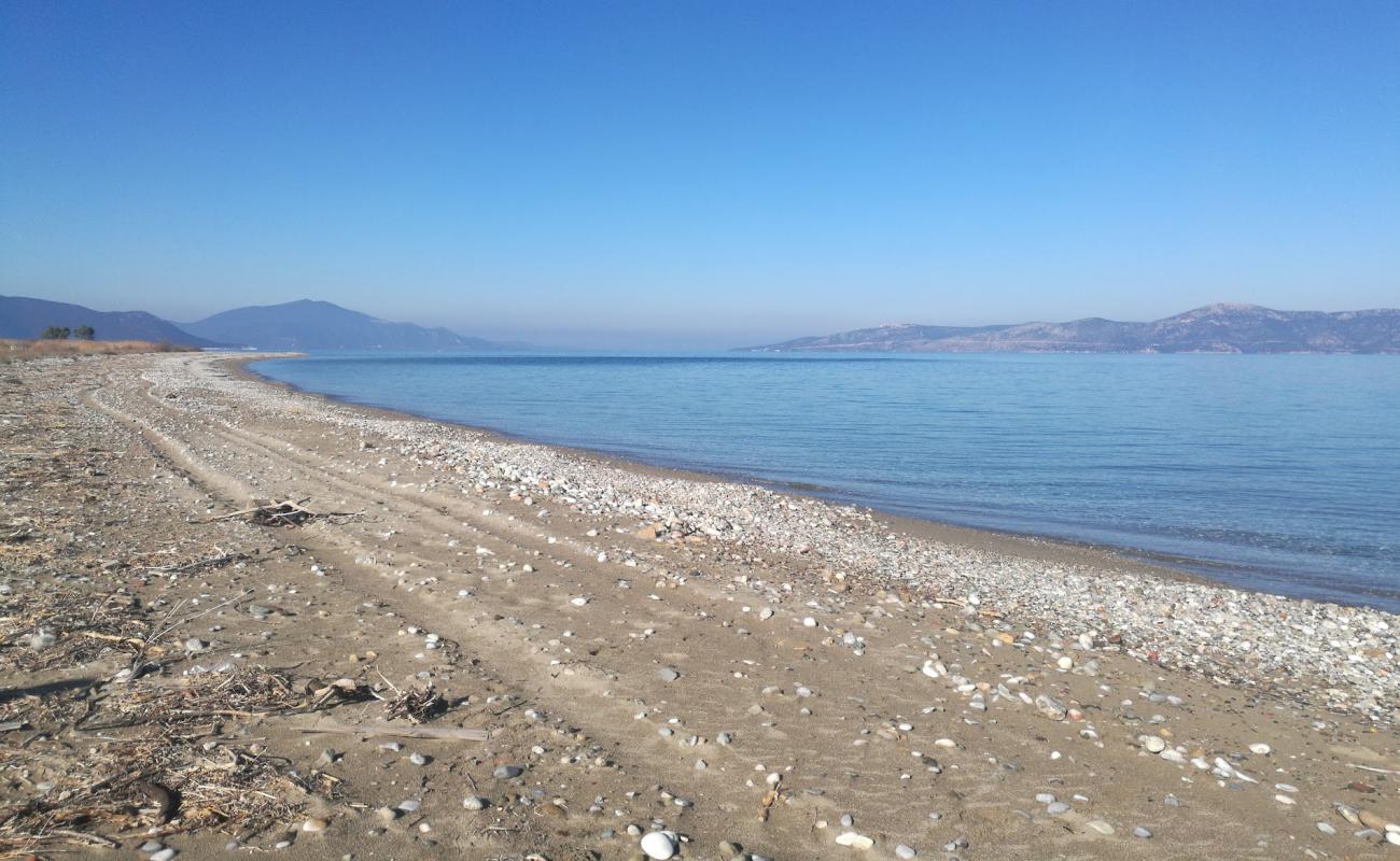 Foto de Saint Helen beach con arena gris y guijarros superficie