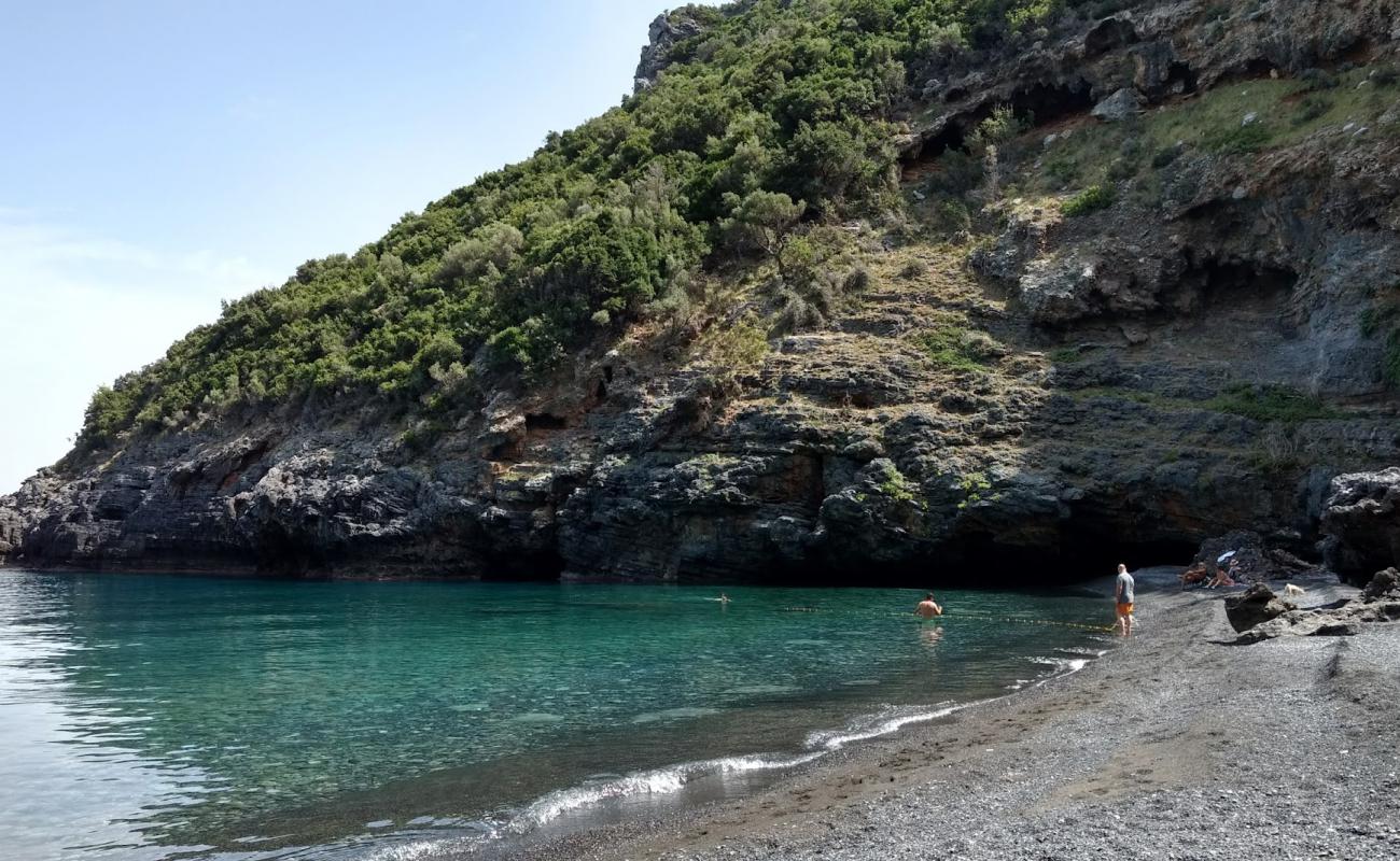 Foto de Mills Beach con guijarro fino gris superficie