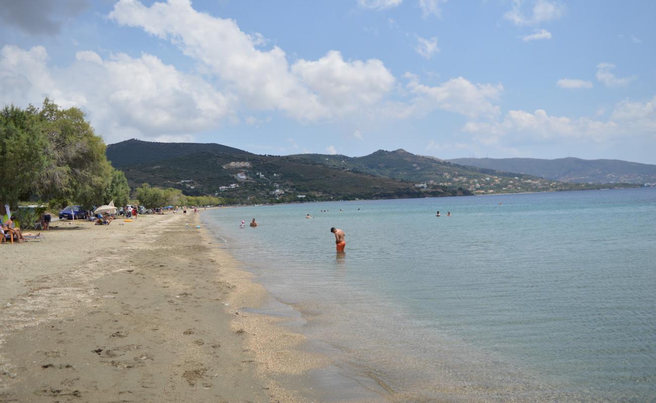 Foto de Livadaki beach con arena brillante superficie