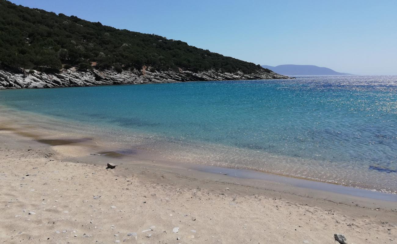 Foto de Limionas beach con arena brillante superficie