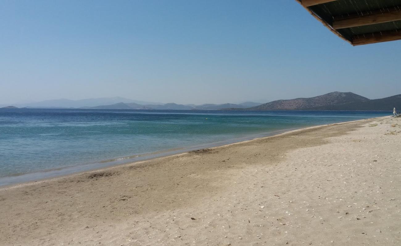 Foto de Delissos beach con arena oscura superficie