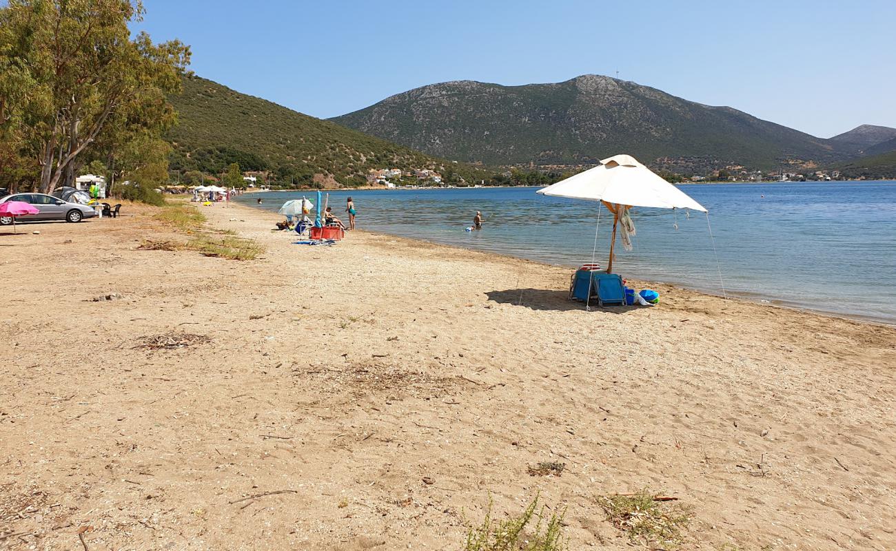 Foto de Almyropotamos beach con arena/guijarros negro superficie