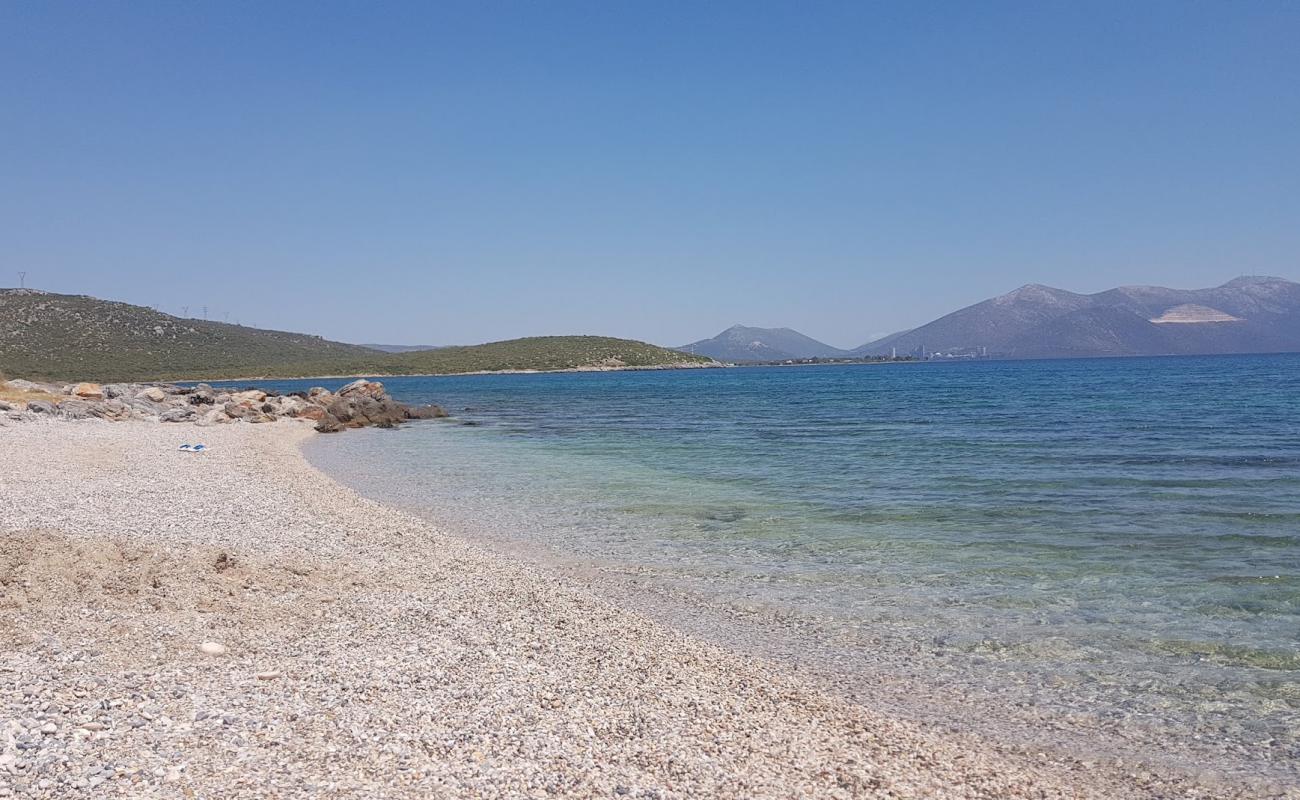 Foto de Thalassa beach con guijarro fino claro superficie