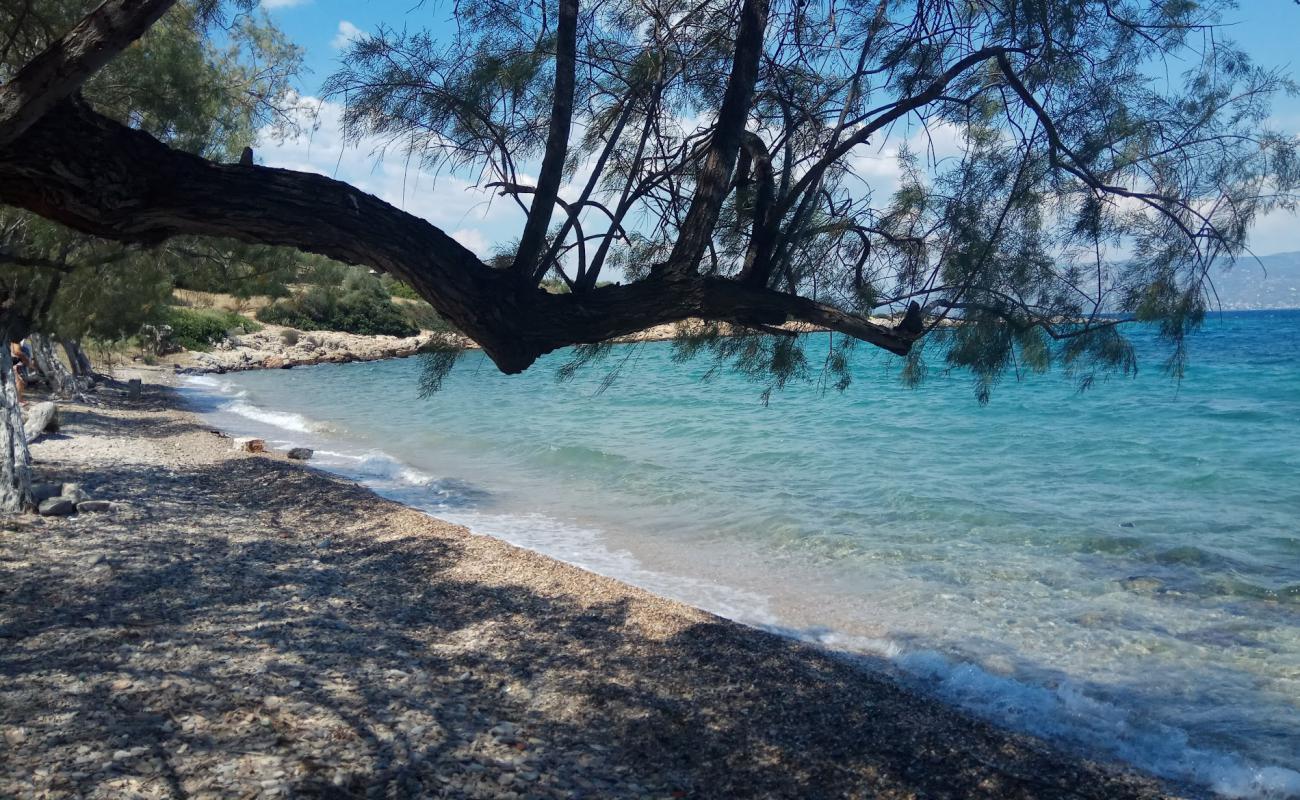 Foto de Pounda beach con arena fina y guijarros superficie