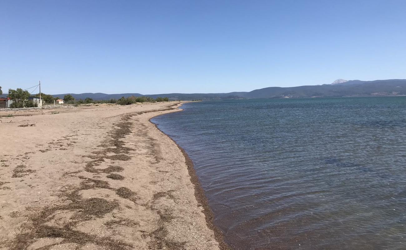 Foto de Kalloni beach con arena oscura superficie