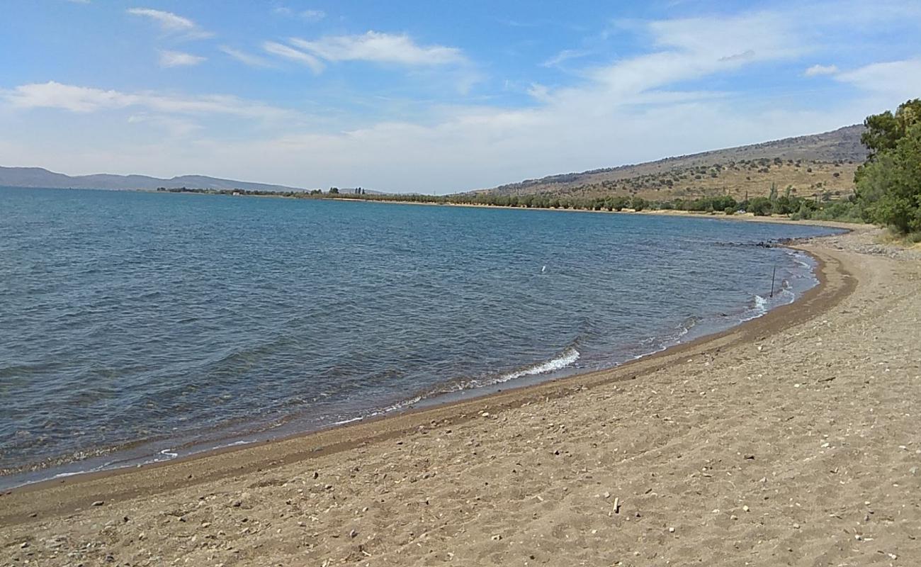 Foto de Parakila beach con arena oscura superficie