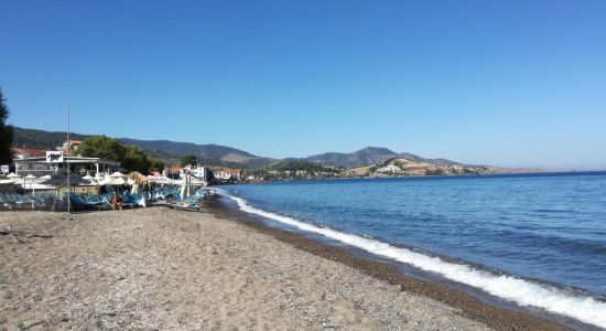 Playa de Petra