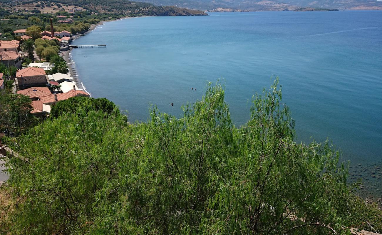 Foto de Playa Delfinia con arena fina y guijarros superficie