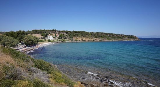 Playa de Petalidi