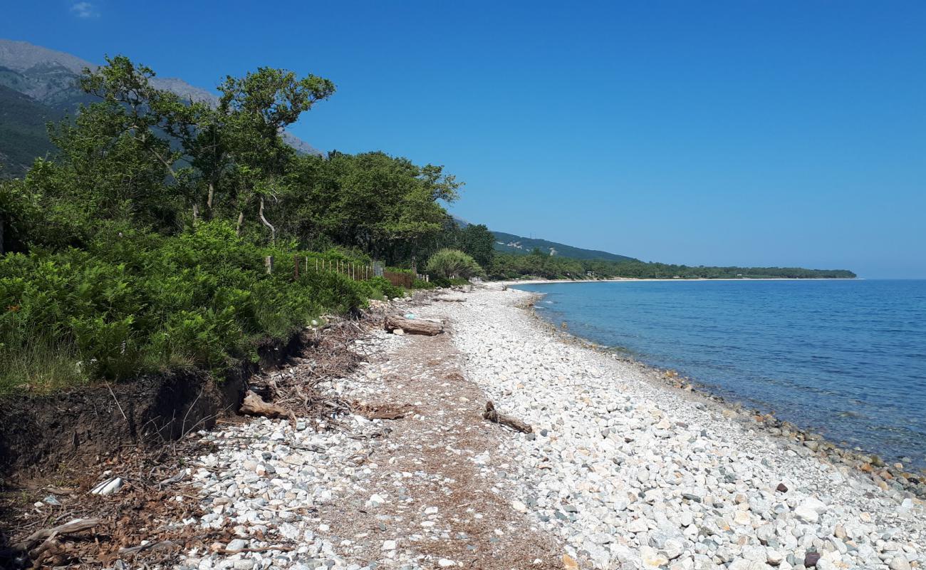 Foto de Fonia beach con piedra superficie