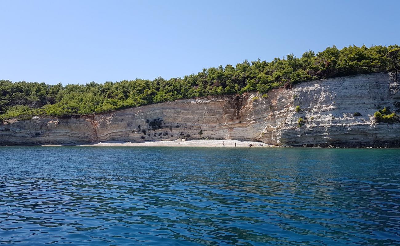 Foto de Lenna's beach con guijarro ligero superficie