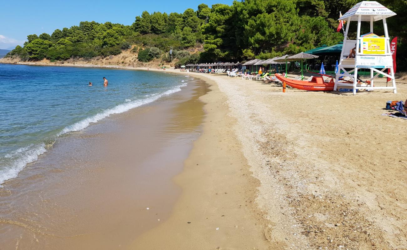 Foto de Playa de Agia Eleni con arena gris y guijarros superficie