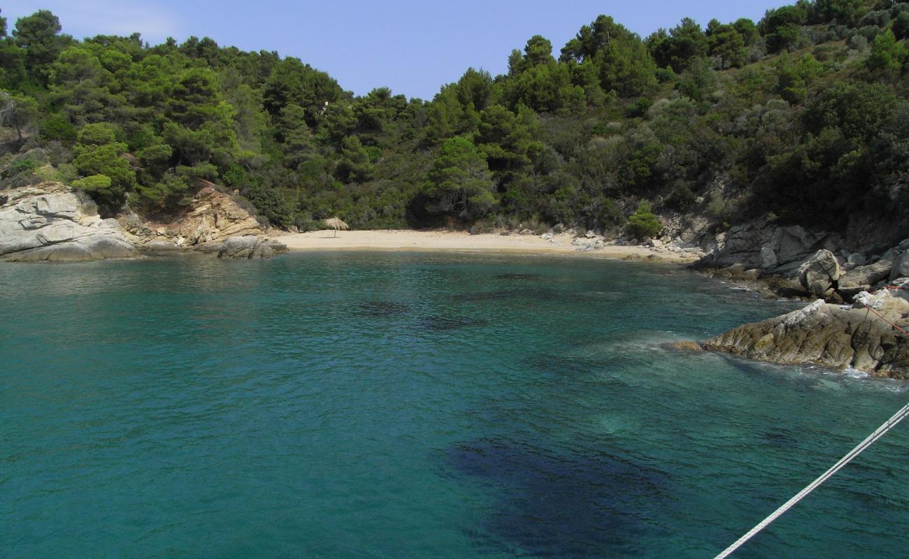 Foto de Skiathos beach II con arena brillante superficie