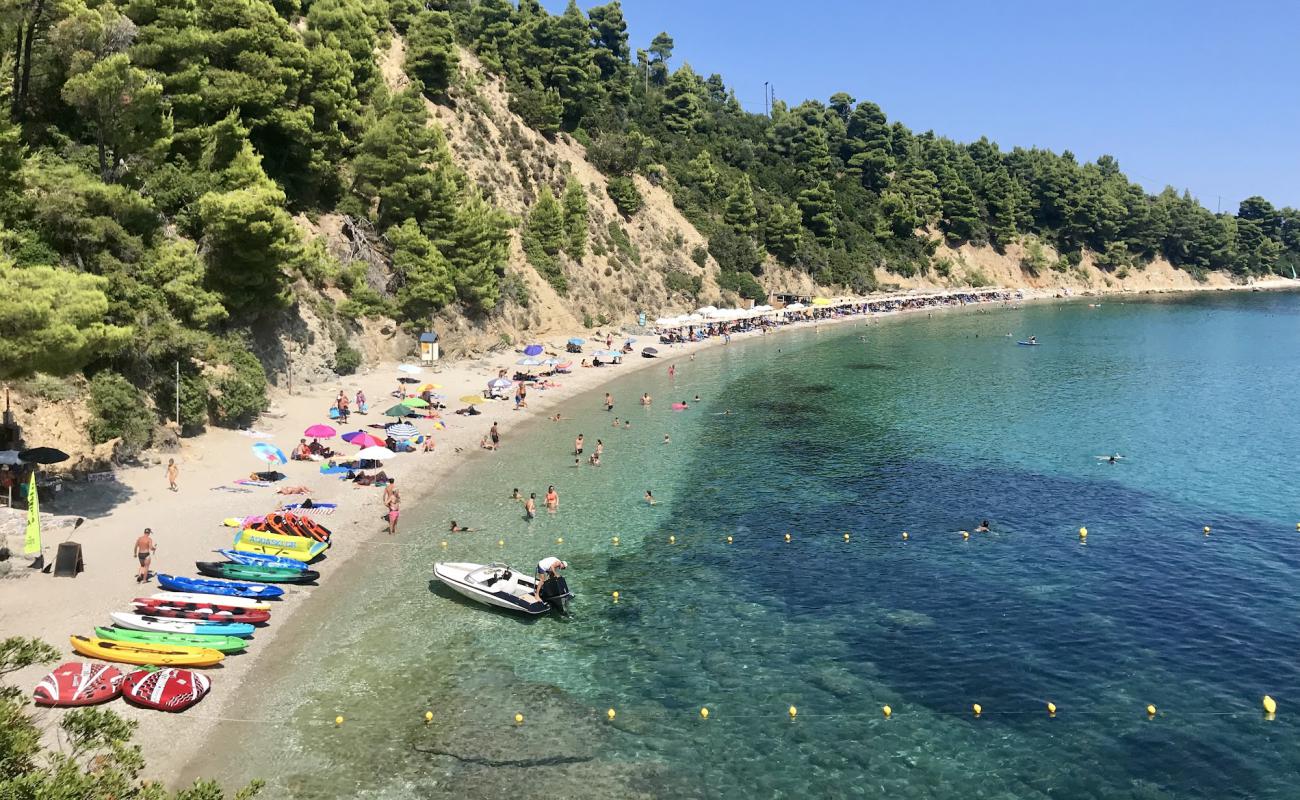 Foto de Stafilos beach con guijarro fino oscuro superficie