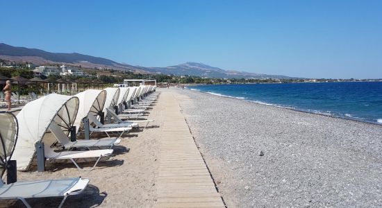 Playa de Psalidi