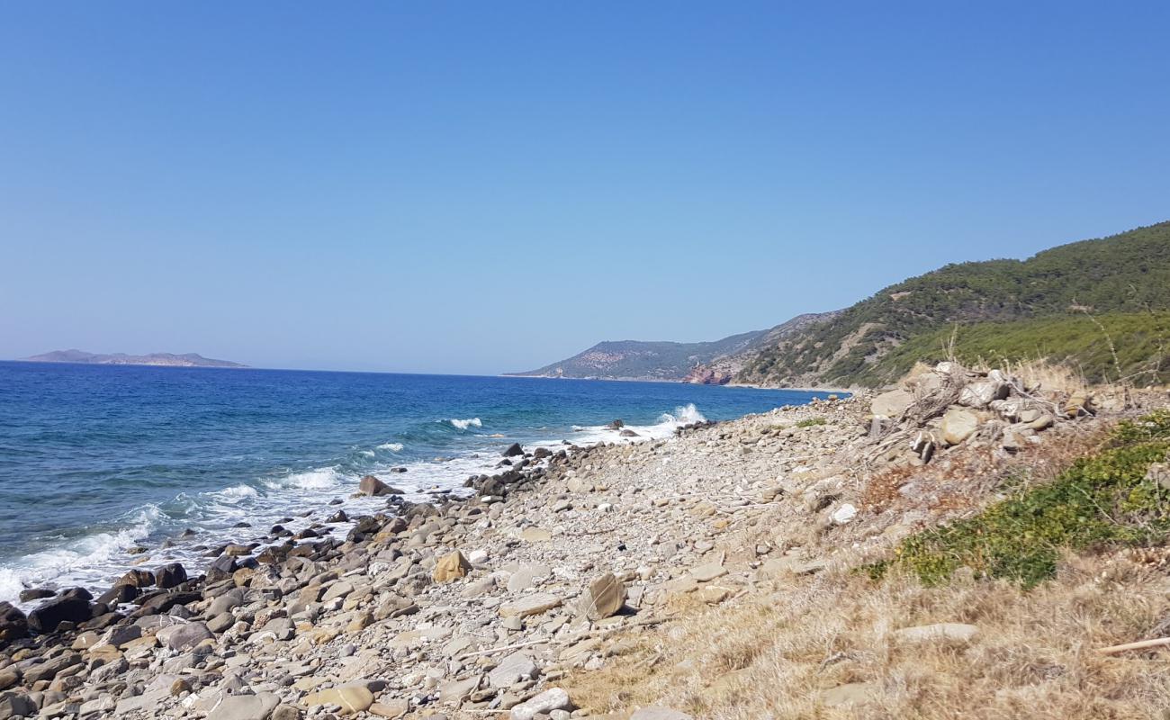 Foto de Paralia Glifada IV con piedra superficie