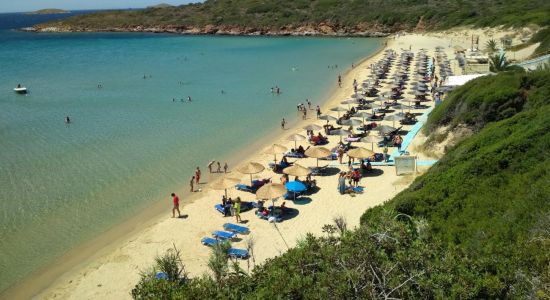 Playa de Arena Dorada