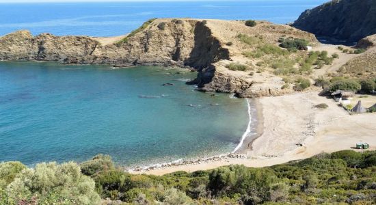 Beach Good Land