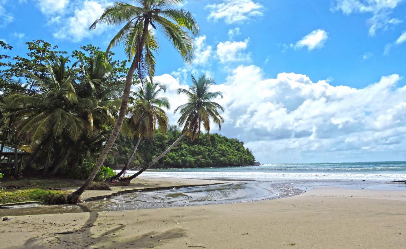 Foto de La Sagesse beach con brillante arena fina superficie