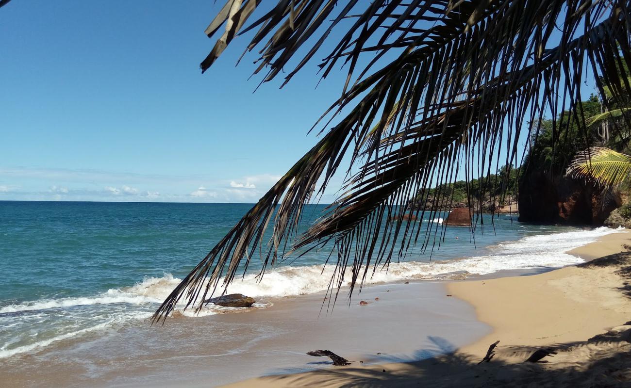 Foto de Plage Naturiste con arena oscura superficie