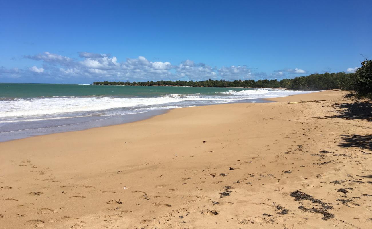 Foto de Plage de Cluny con arena fina oscura superficie