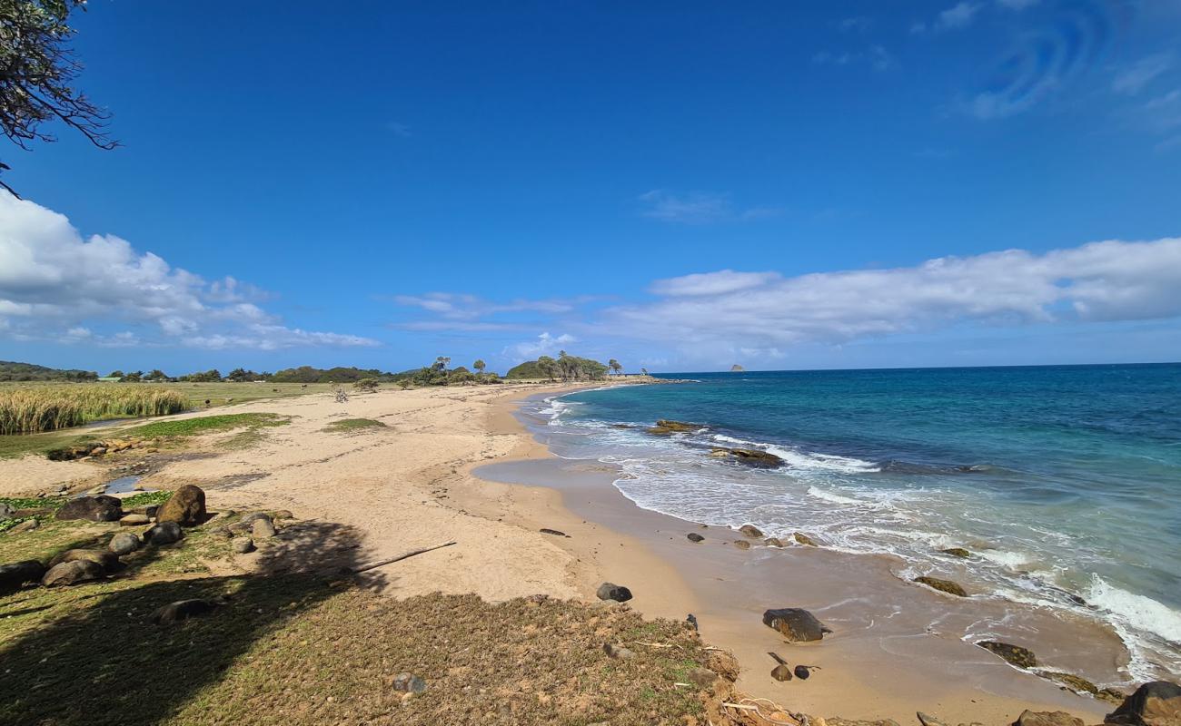 Foto de Anse du Petit Fort Beach con arena oscura superficie