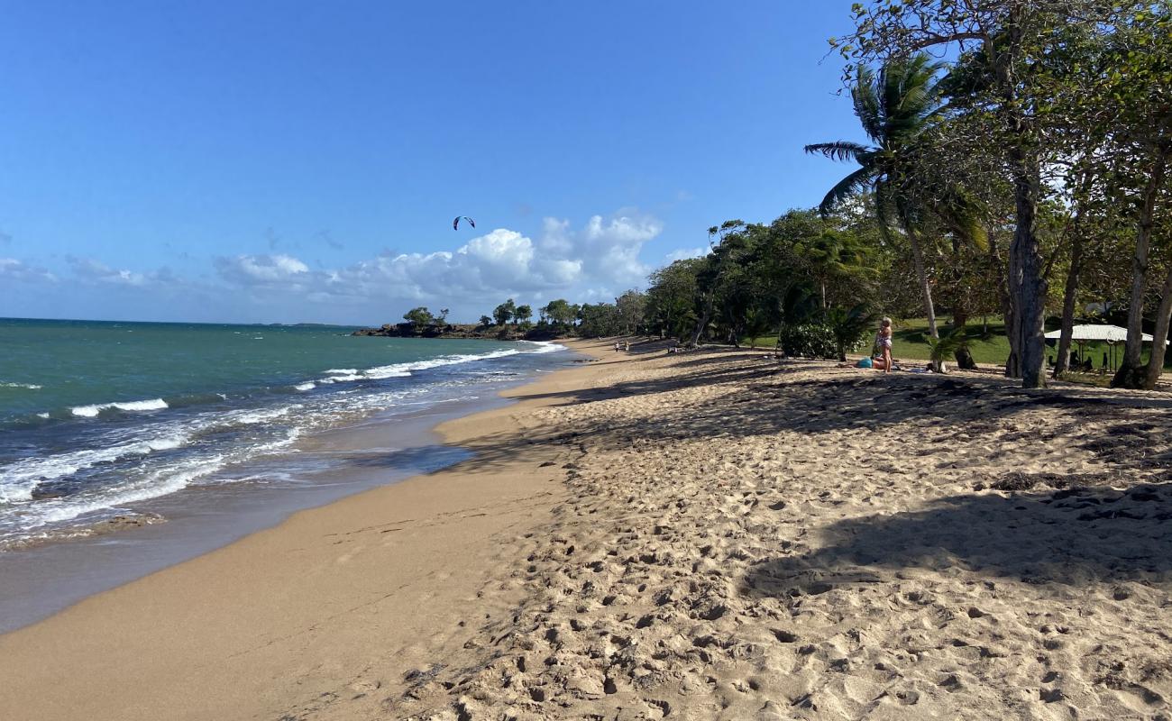 Foto de Plage des Amandiers con arena fina oscura superficie