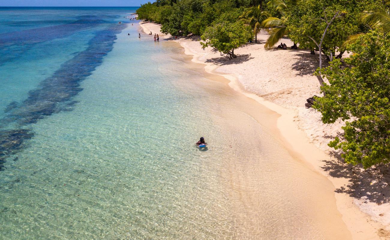 Foto de Plage Du Souffleur con brillante arena fina superficie