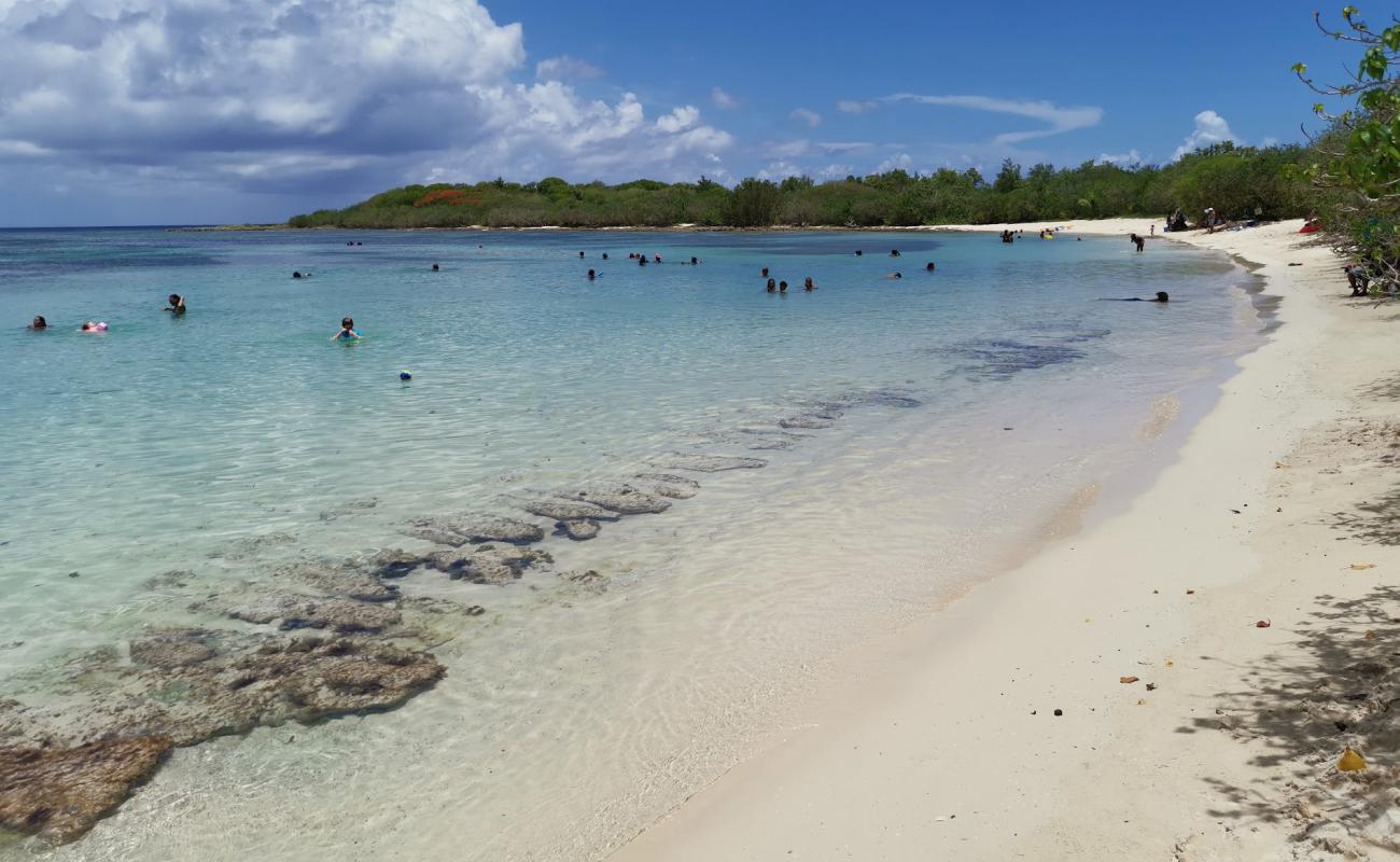 Foto de Plage d'Antigues con brillante arena fina superficie