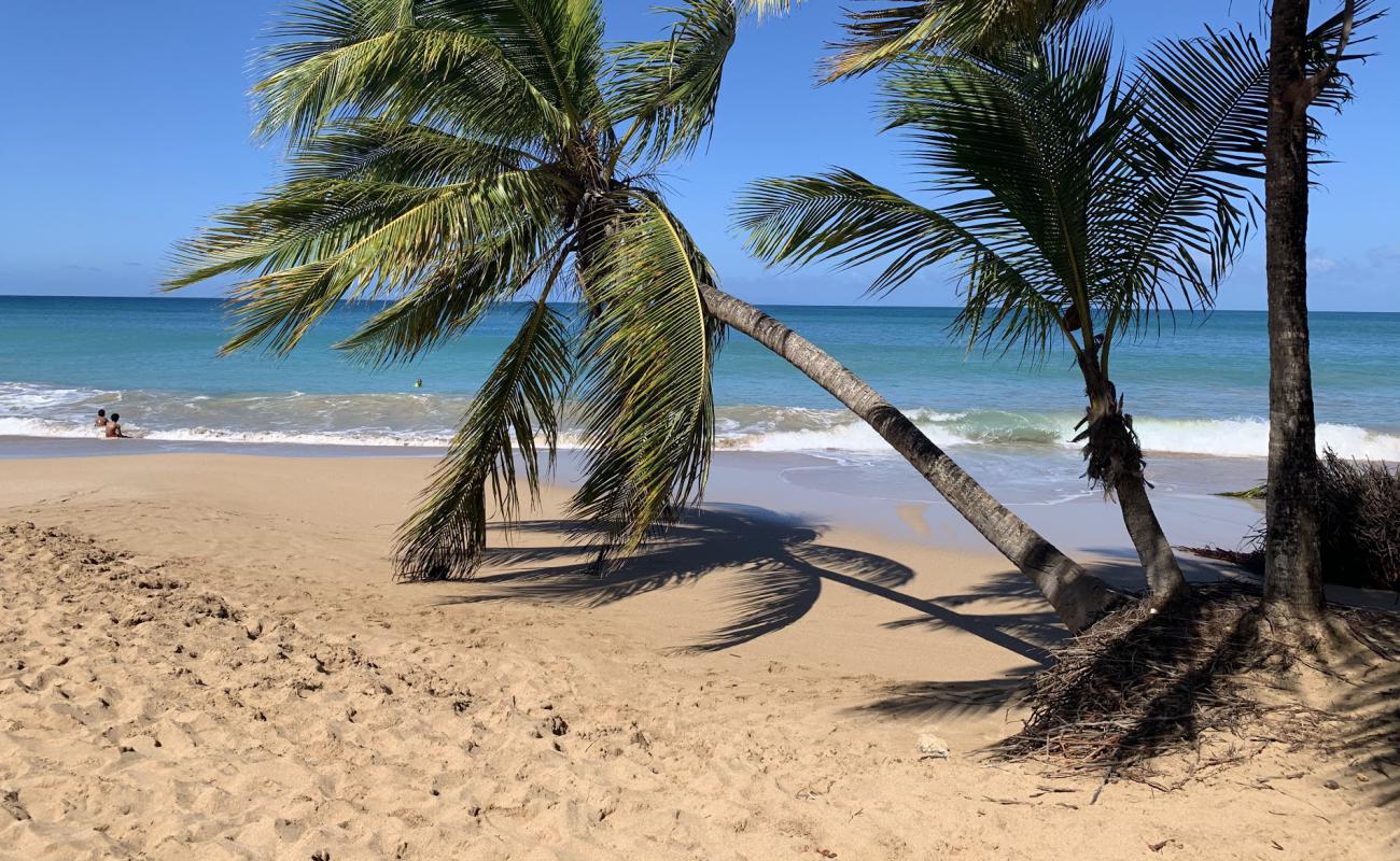 Foto de Plage de la Caravelle con arena brillante superficie