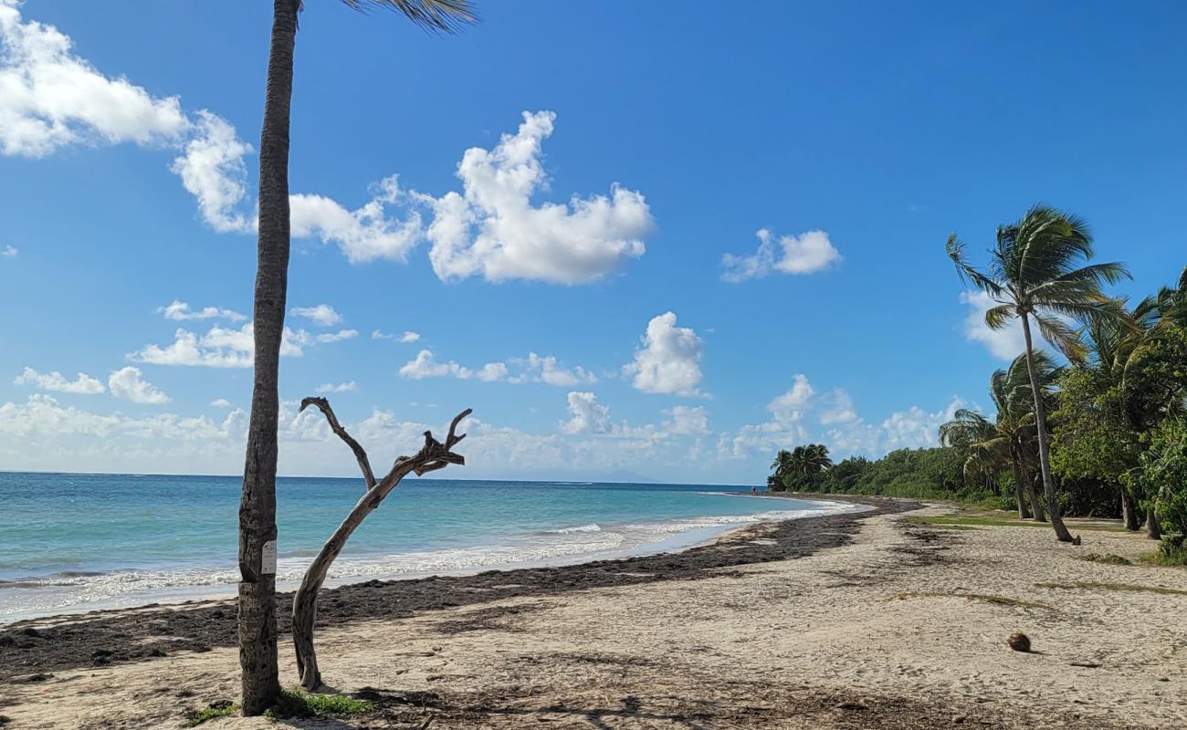 Foto de Plage des Salines con arena brillante superficie