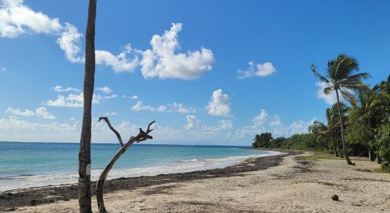 Plage des Salines