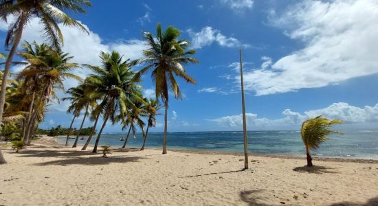 Plage a Fifi