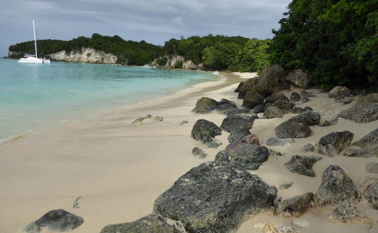 Foto de Marie Galante beach con brillante arena fina superficie