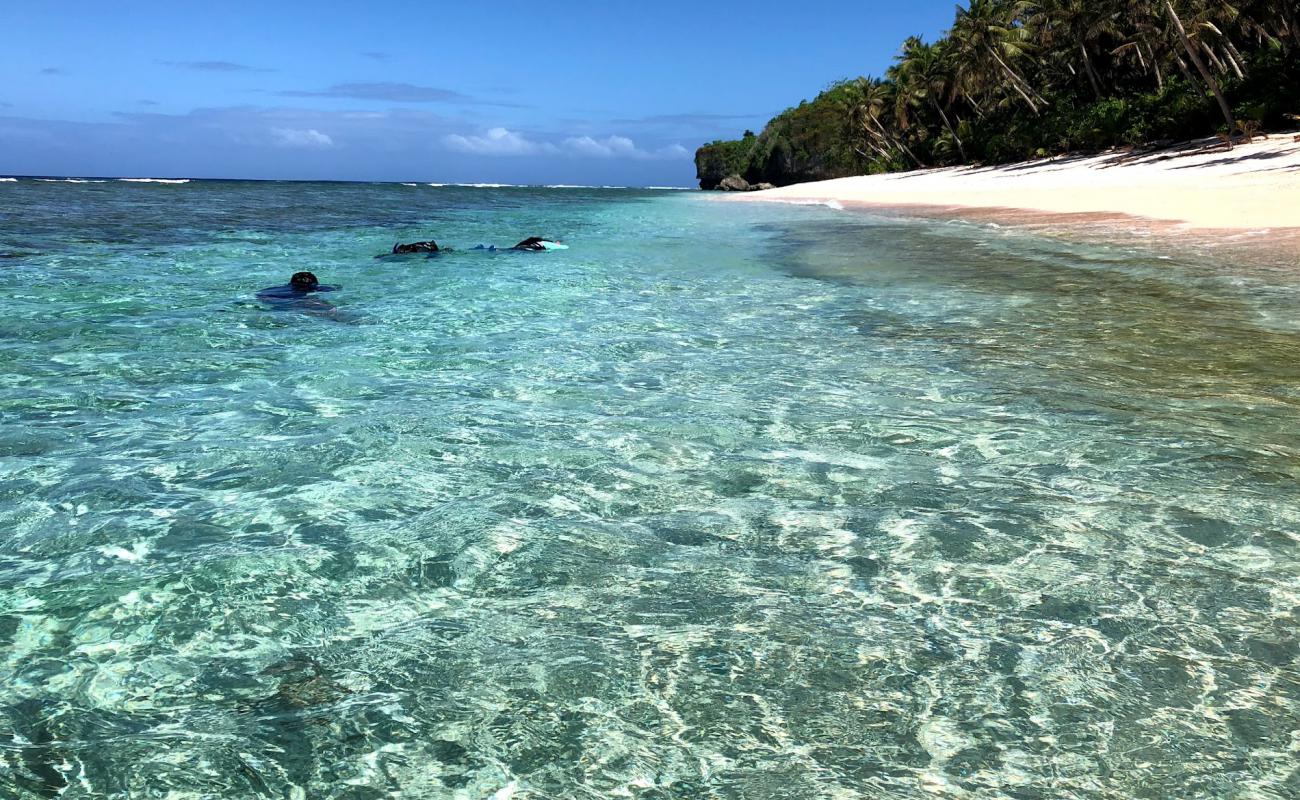 Foto de Star sand beach con arena brillante superficie