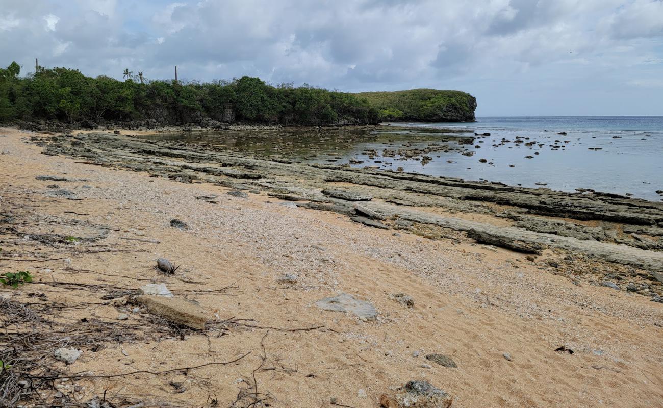 Foto de Old Wives Beach con piedra superficie