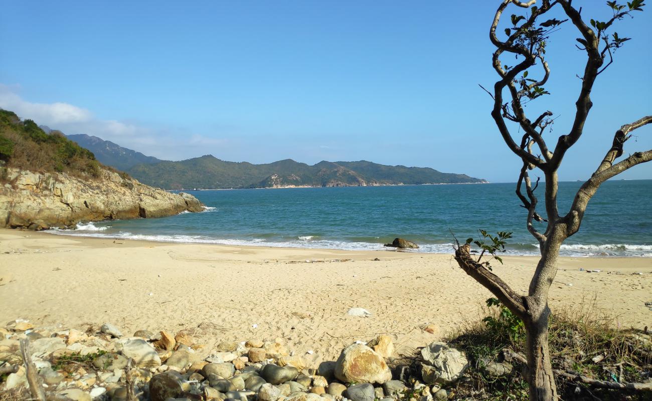 Foto de Tai Long Wan Campsite con arena brillante superficie