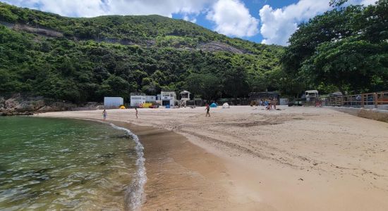 Turtle Cove Beach