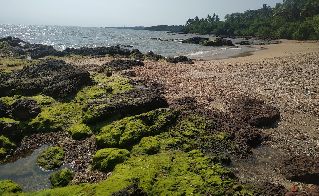 Foto de Seashells beach con arena fina y guijarros superficie