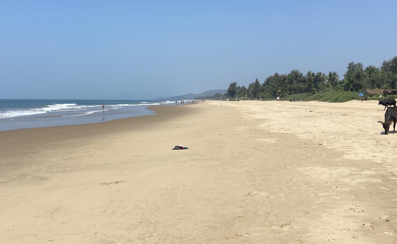 Foto de Gokarna Main Beach con arena brillante superficie