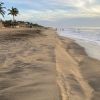 Graveside Beach