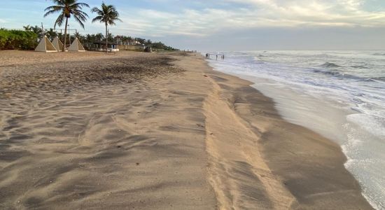 Graveside Beach