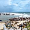 Digha Beach