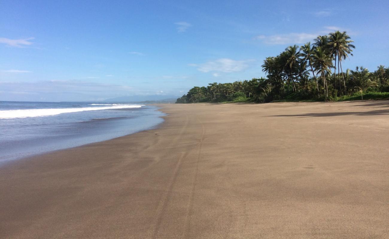 Foto de Desk Beach con arena oscura superficie