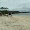 Pesisir Mas Beach