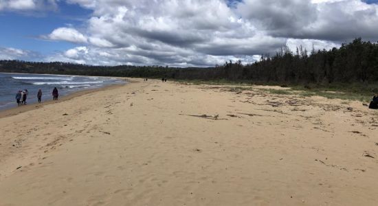 Boydtown Beach