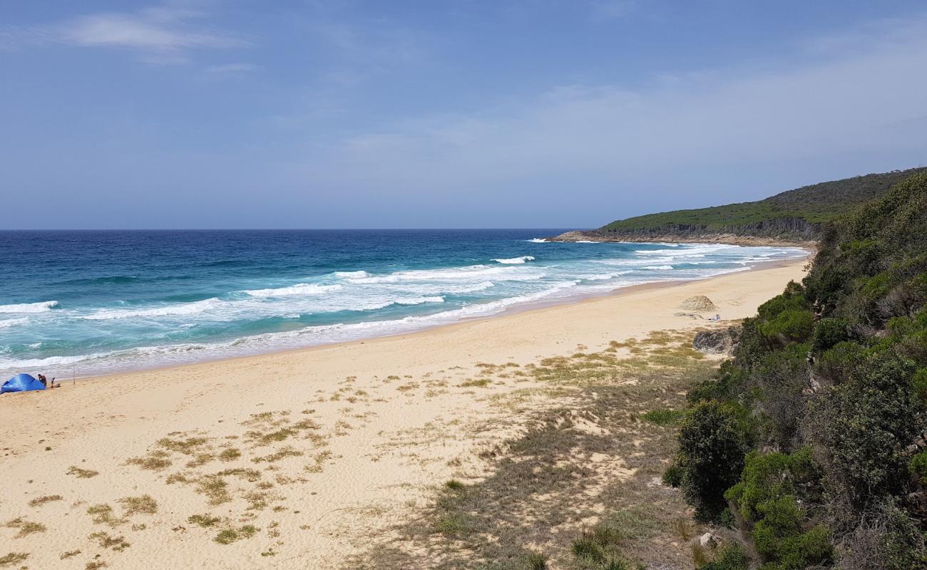 Foto de Aragunnu Beach con arena brillante superficie