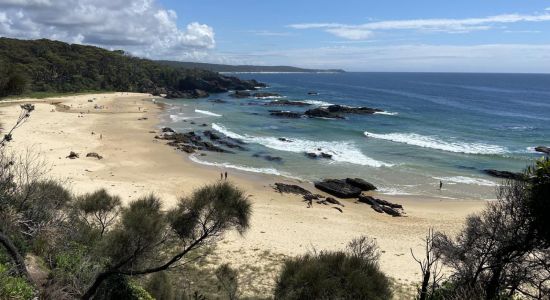 Mystery Bay Beach