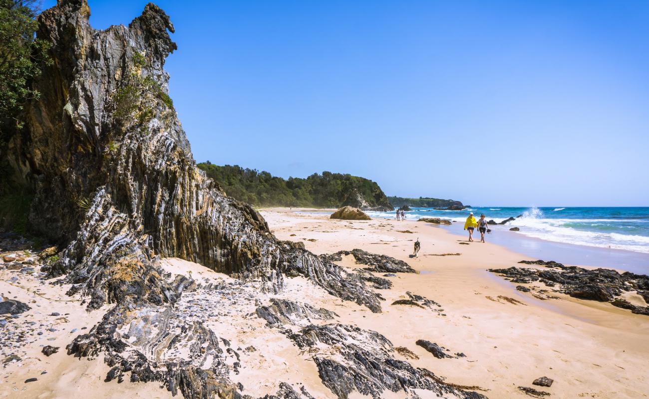 Foto de Narooma Beach con arena brillante superficie