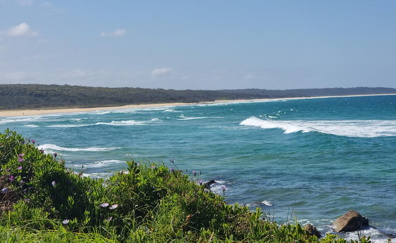 Foto de Josh's Beach con arena brillante superficie